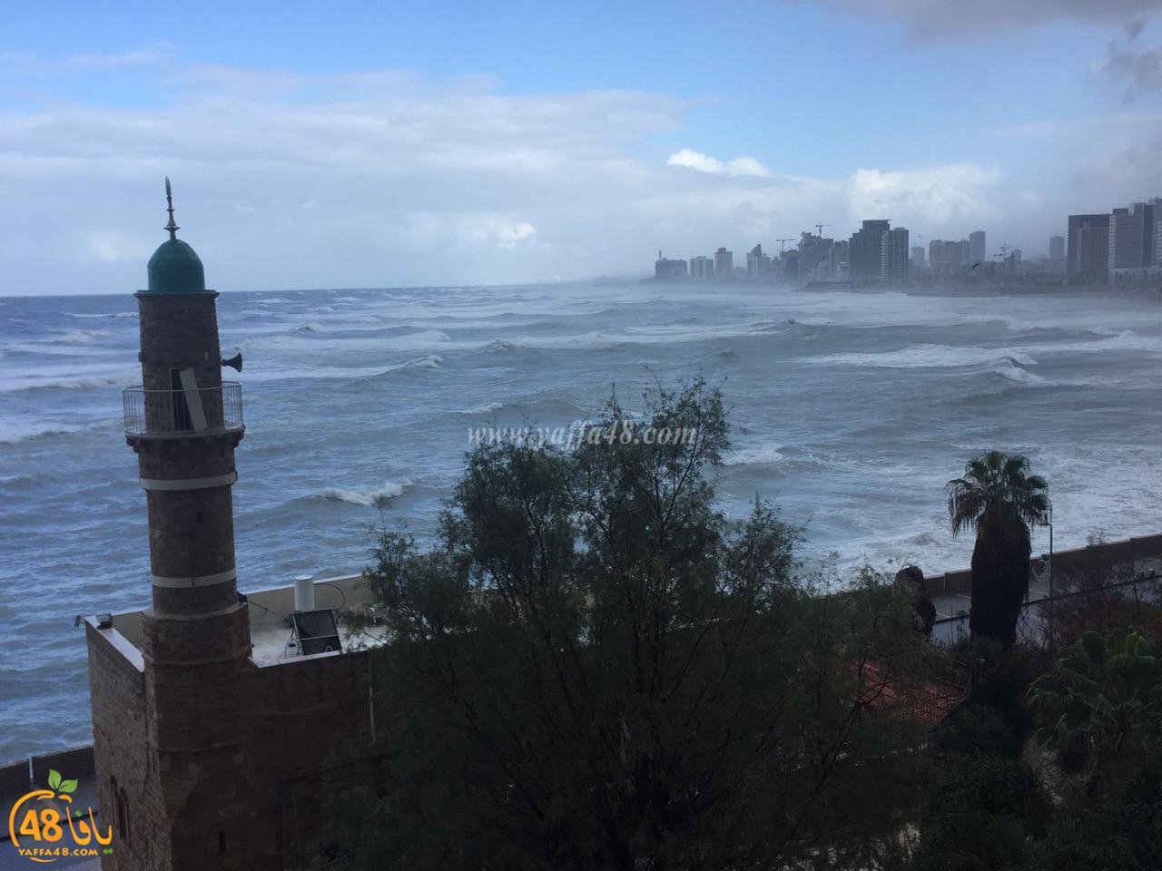 yaffa clouds3j (7).jpg